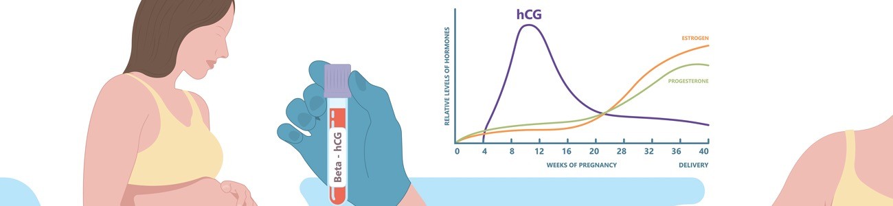 Kalkulator Beta hCG 